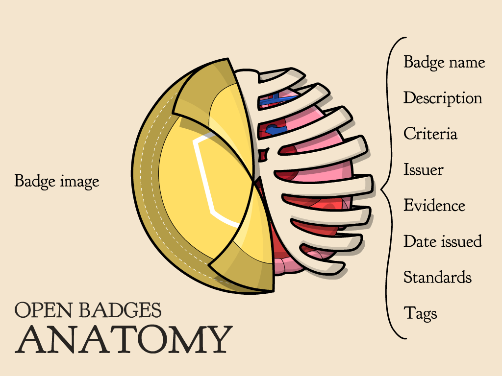 Anatomy of an Open Badge.png