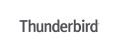 Thunderbird logo-wordmark-only RGB.png