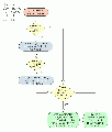 Geolocated snippets flowchart.gif