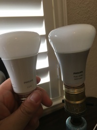 A19 bulbs.jpg
