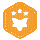 FSA senior openBadge.png
